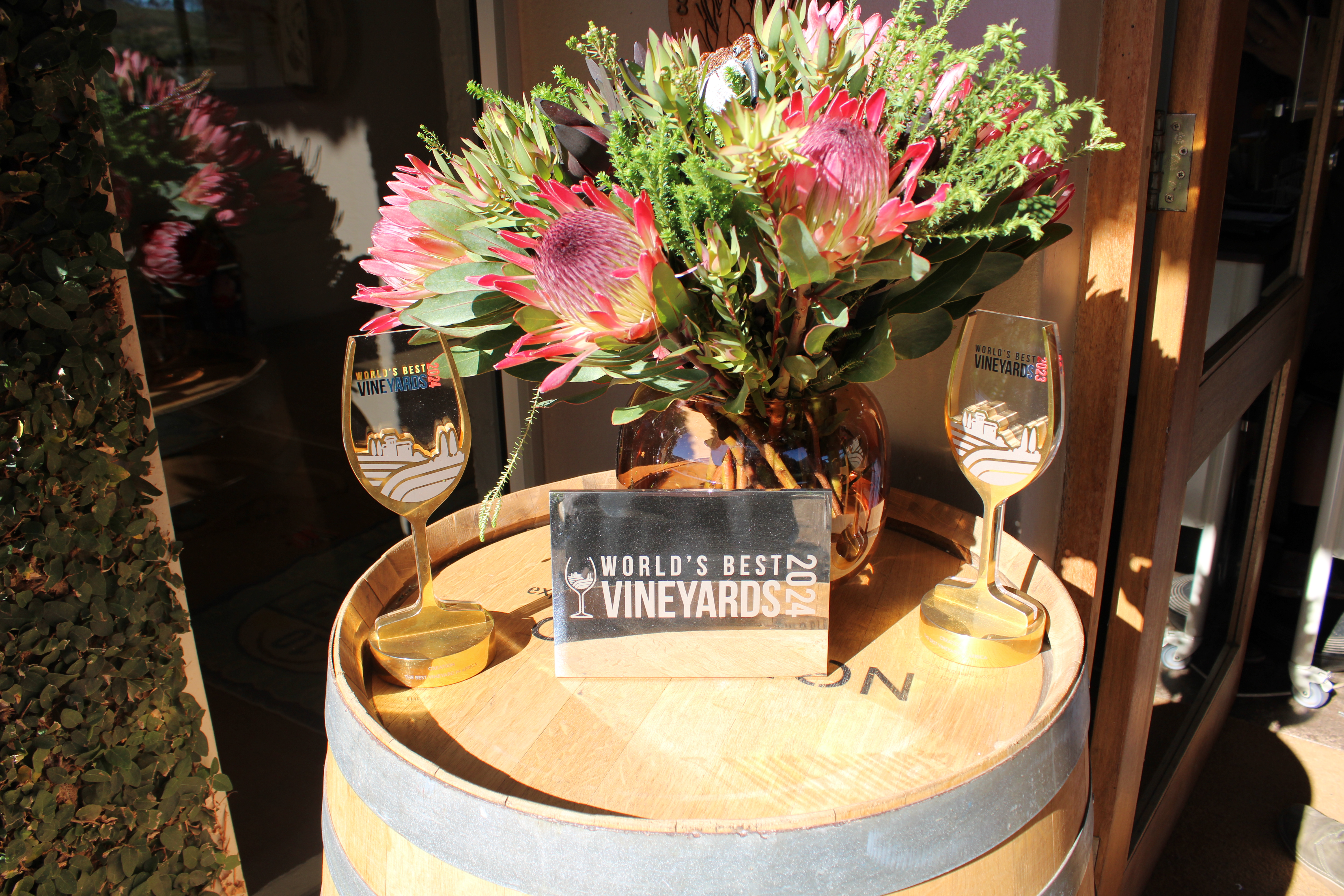 social-slider-image-4